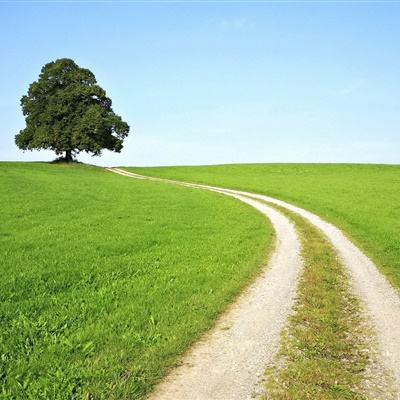 江南足球appapp下载