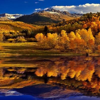 美高梅网址app下载截图